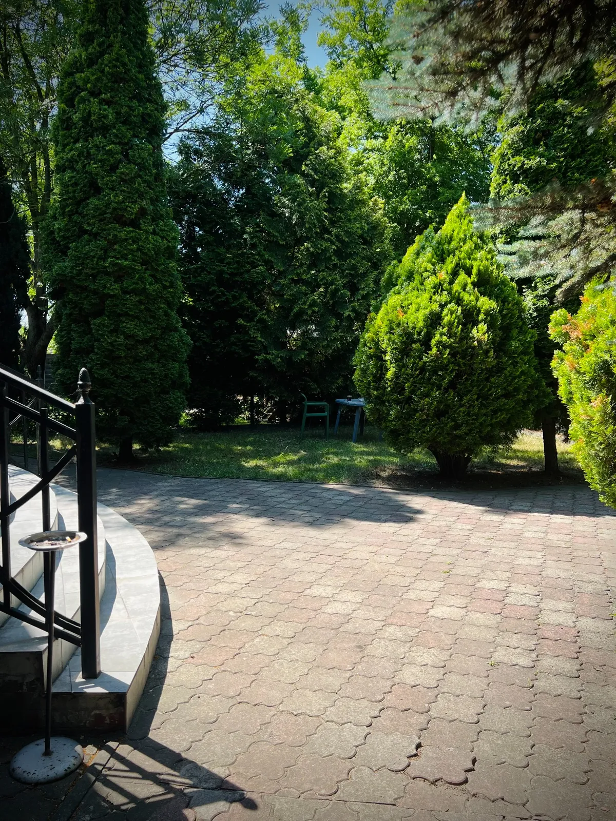 rehab-center-courtyard-trees-relax-area