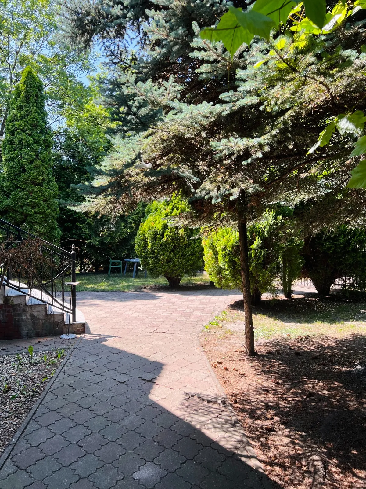 rehab-center-garden-path-nature-area